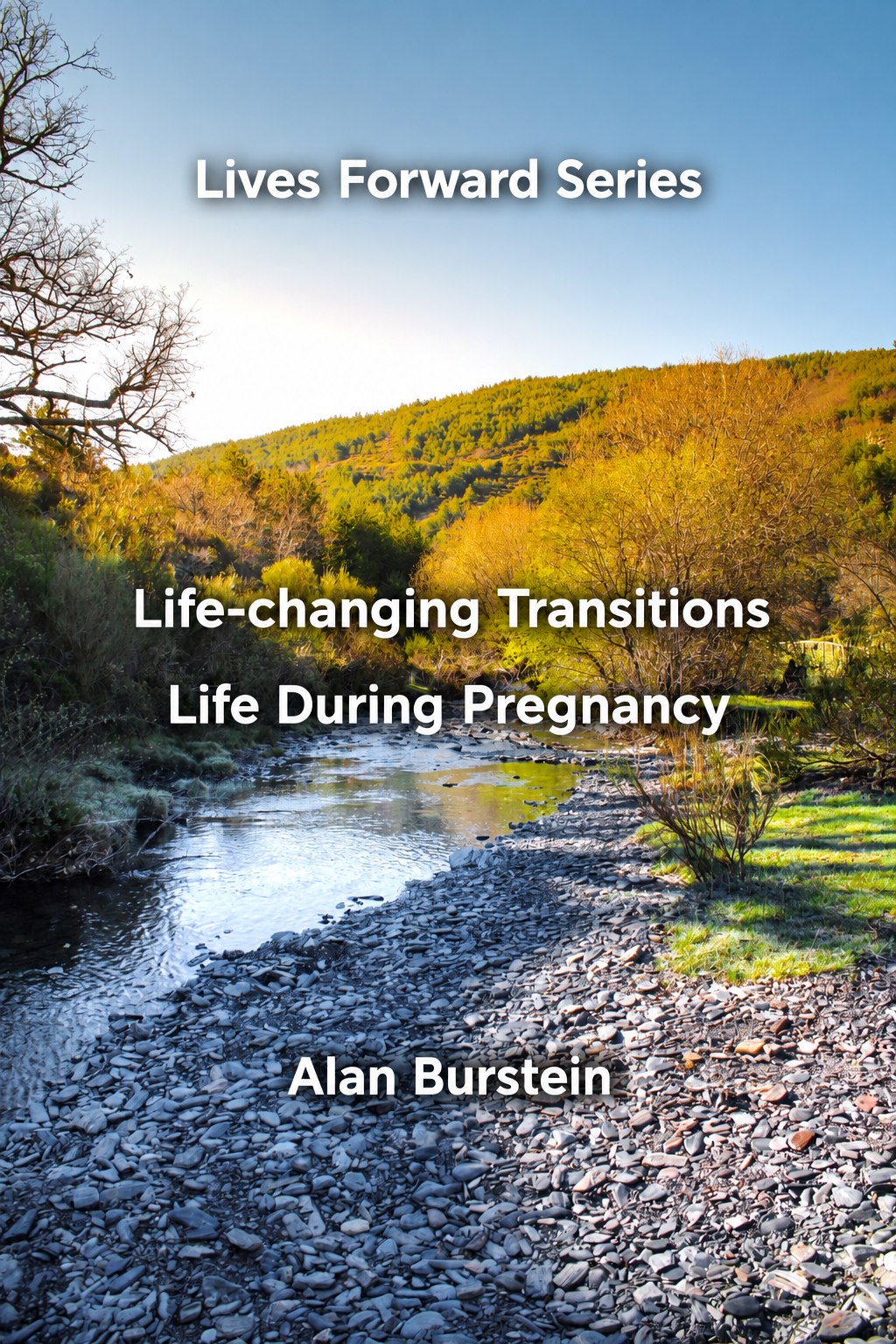 Life During Pregnancy